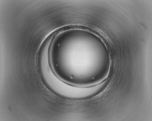 X0000116060926200911201453