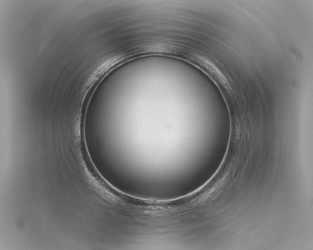 X0000116060938200911201453