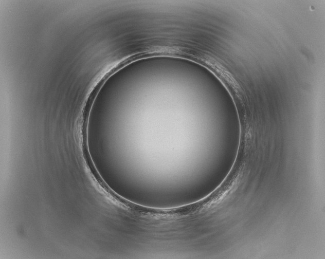 X0000116060941200911201453