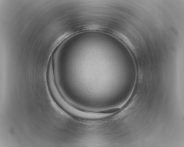 X0000116060946200911201453