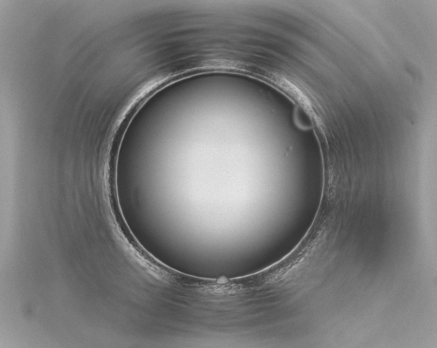X0000116060947200911201453