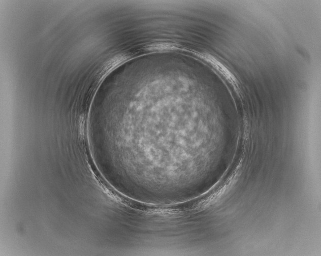 X0000116060953200911201453