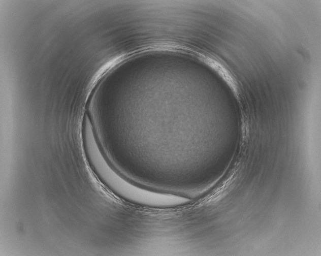 X0000116060954200911201453
