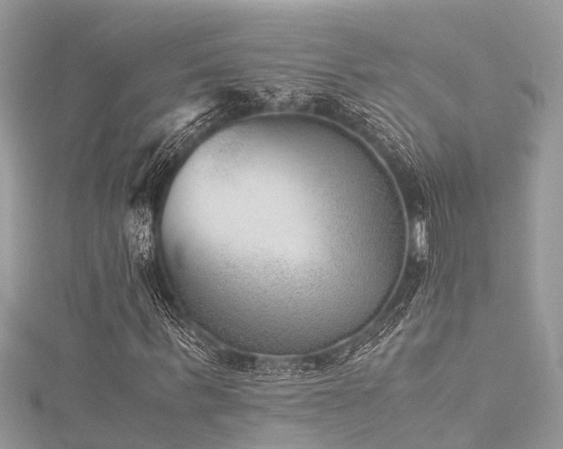 X0000116060963200911201452