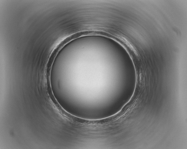 X0000116060972200911201452