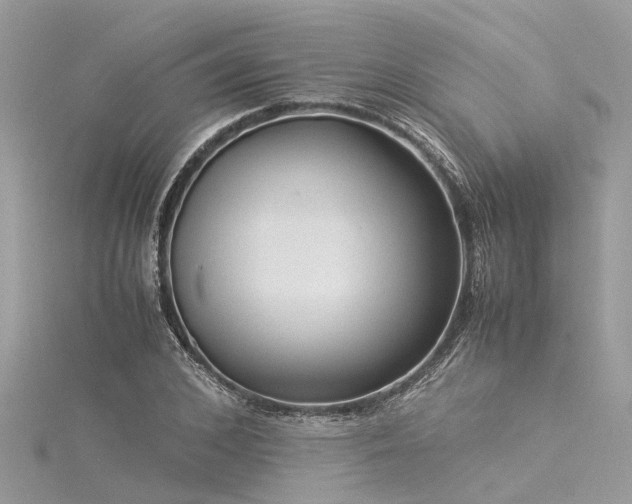 X0000116060976200911201452