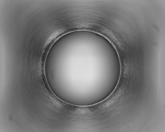 X0000116060978200911201452