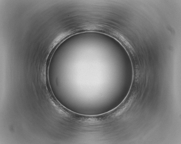 X0000116060986200911201452