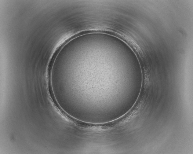 X0000116060990200911201452