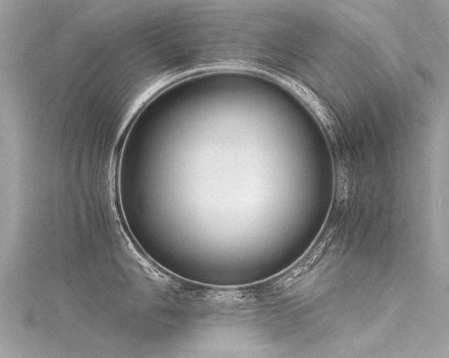 X0000116061006200911201452