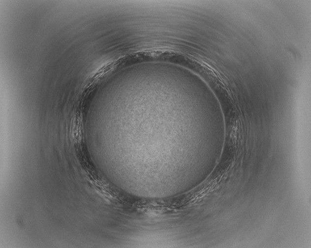 X0000116061014200911201451