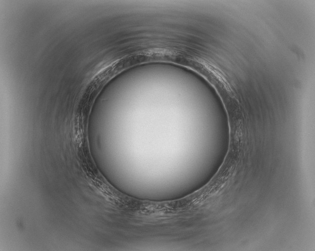 X0000116061015200911201451
