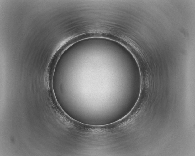 X0000116061022200911201451