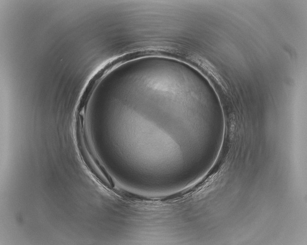X0000116061024200911201451