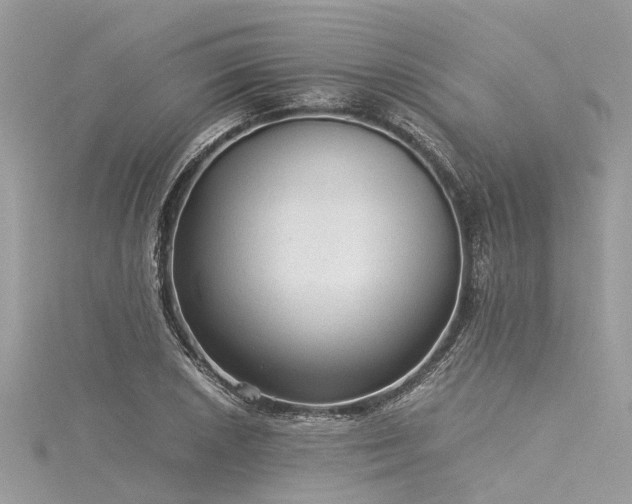 X0000116061026200911201451