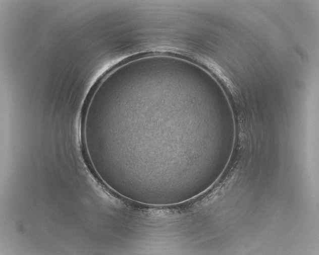 X0000116061032200911201451
