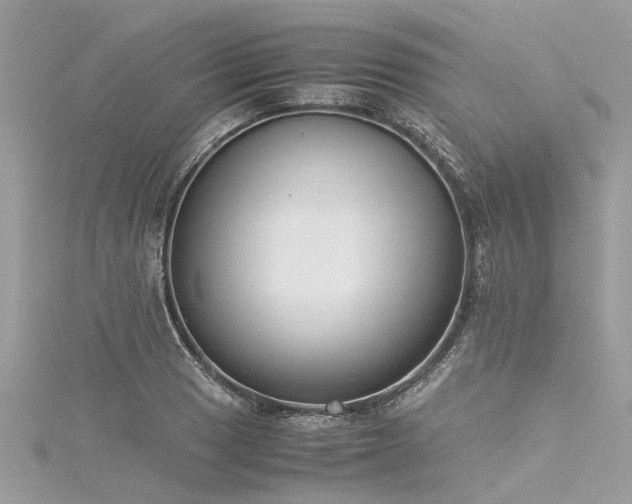 X0000116061033200911201451