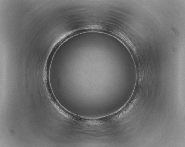 X0000116061037200911201452
