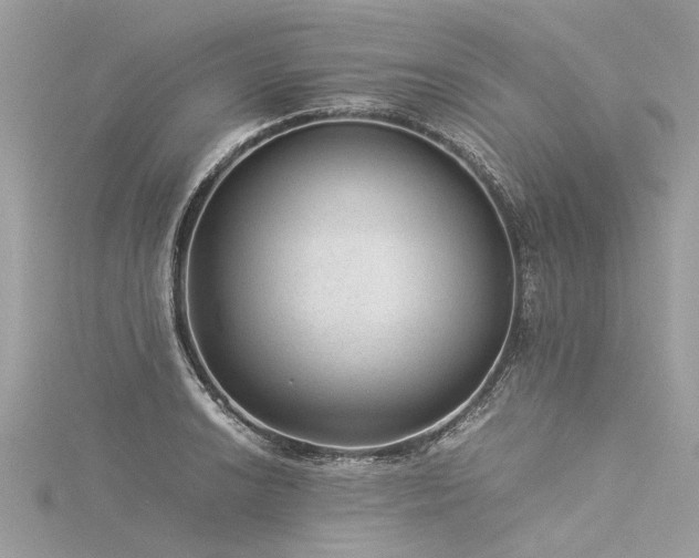 X0000116061038200911201452