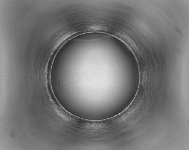 X0000116061039200911201452