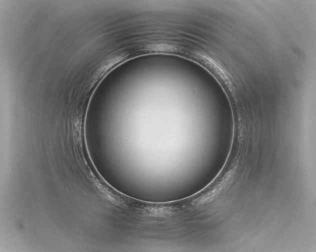 X0000116061041200911201452