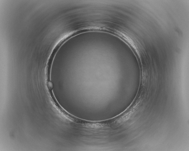 X0000116061045200911201452