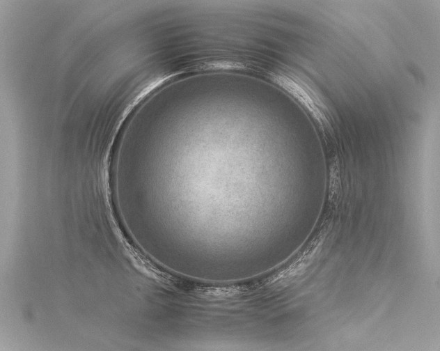 X0000116061047200911201452