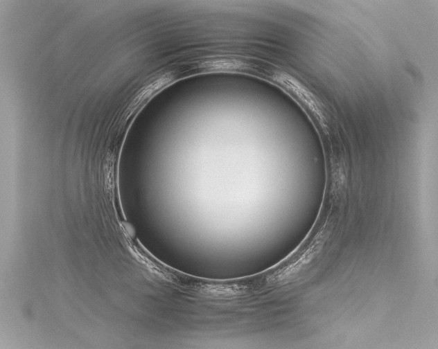 X0000116061049200911201452