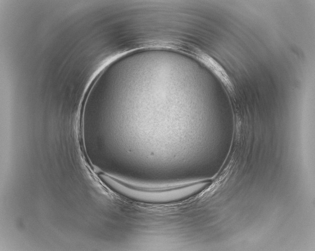 X0000116061052200911201452