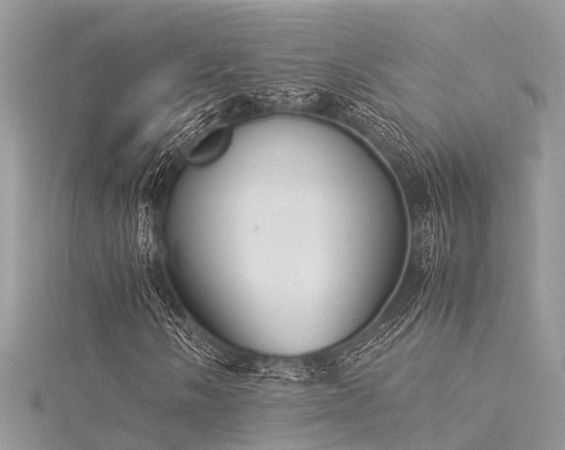 X0000116061058200911201451