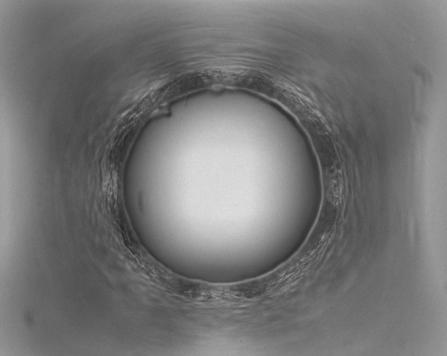 X0000116061061200911201451