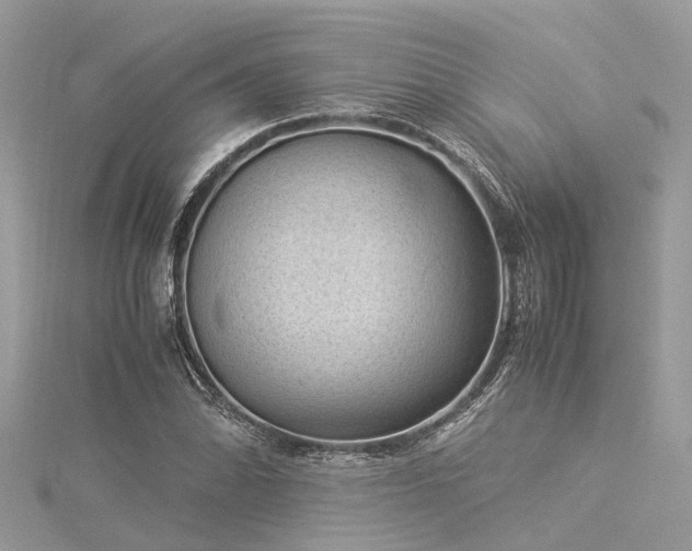 X0000116061070200911201451