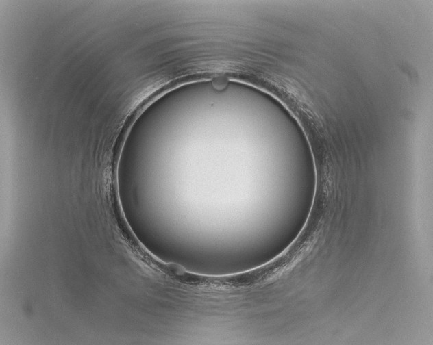 X0000116061073200911201451