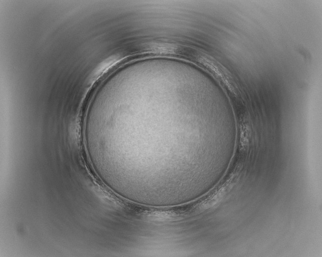 X0000116061074200911201451