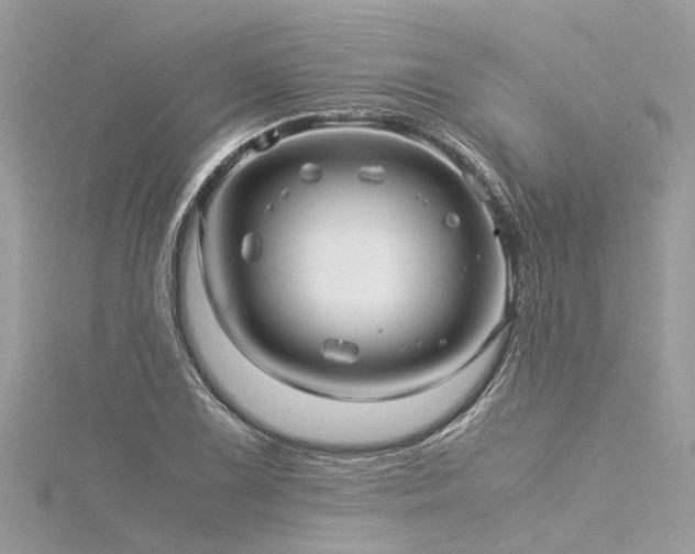 X0000116061075200911201451