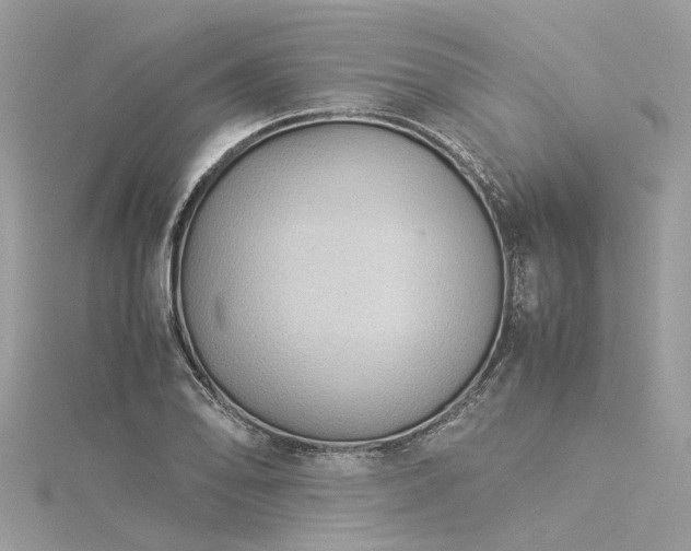 X0000116061078200911201451