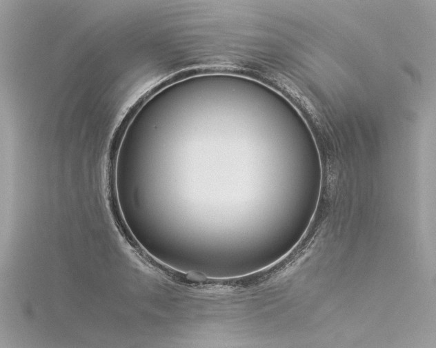 X0000116061085200911201451
