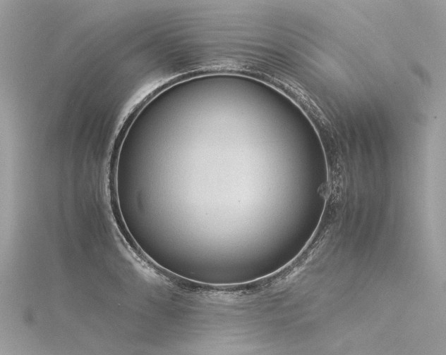 X0000116061086200911201451