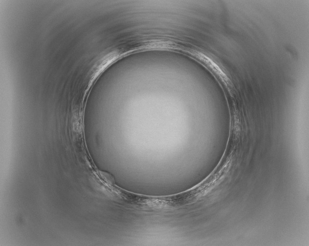 X0000116061097200911201451