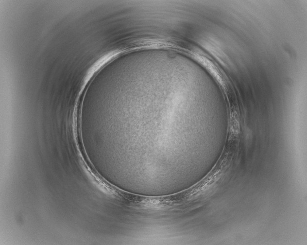 X0000116061098200911201451