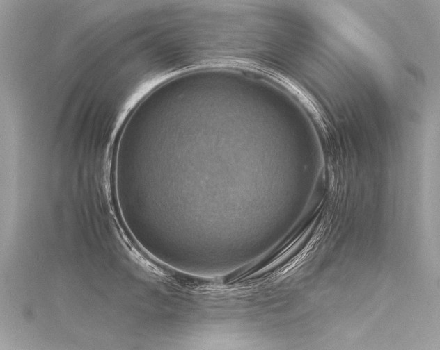 X0000116061102200911201451