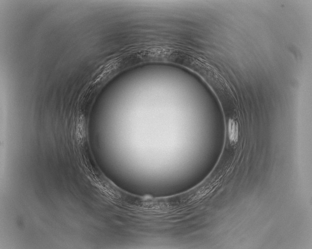X0000116061107200911201450