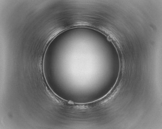 X0000116061137200911201450