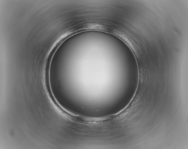 X0000116061139200911201450