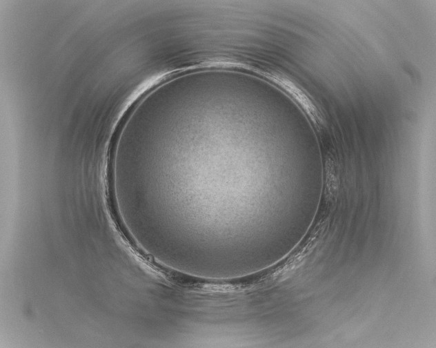 X0000116061142200911201450