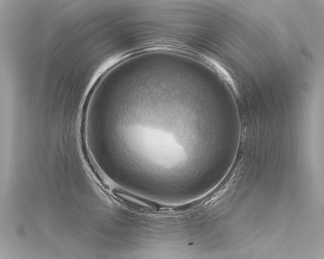 X0000116061146200911201450