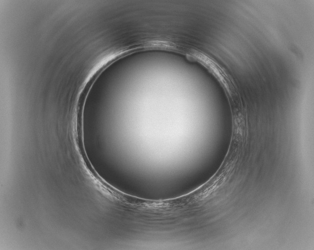 X0000116061147200911201450