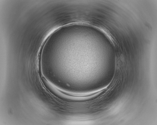 X0000116061151200911201451