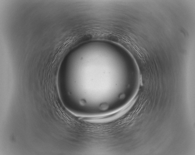 X0000116061153200911201450