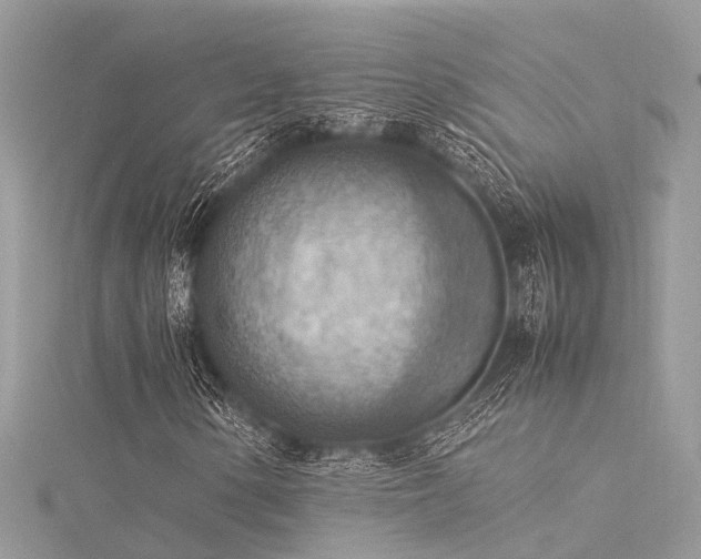 X0000116061154200911201450